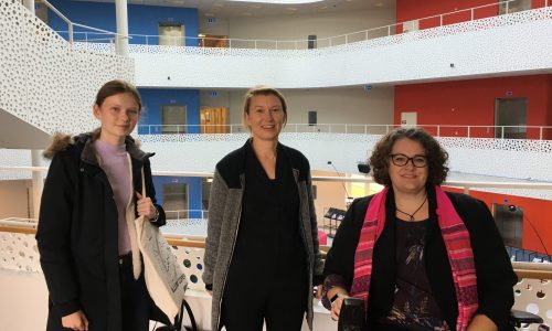 Vi har brug for mere viden om handicap og køn